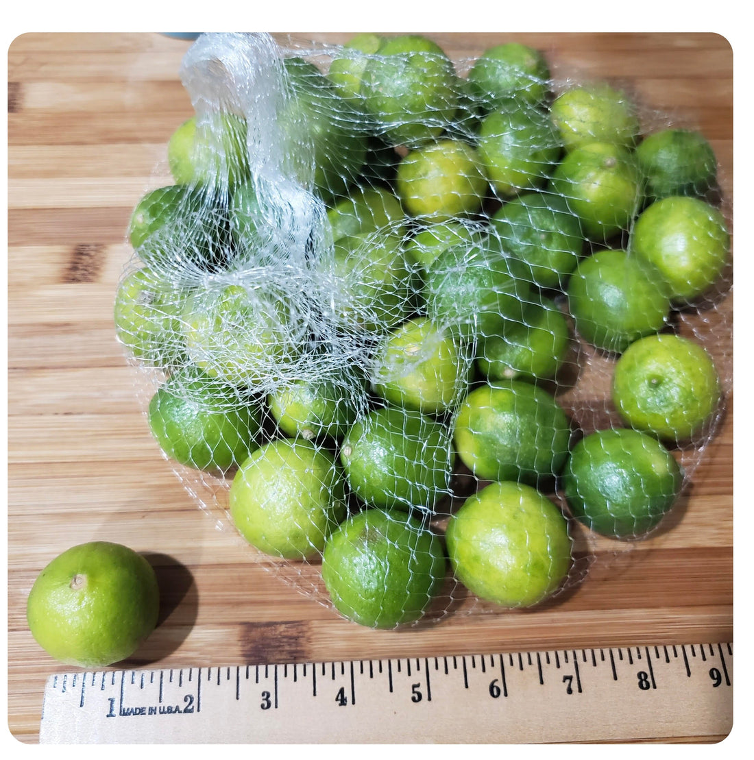 key lime measurement, key limes with a ruler, measuring key limes