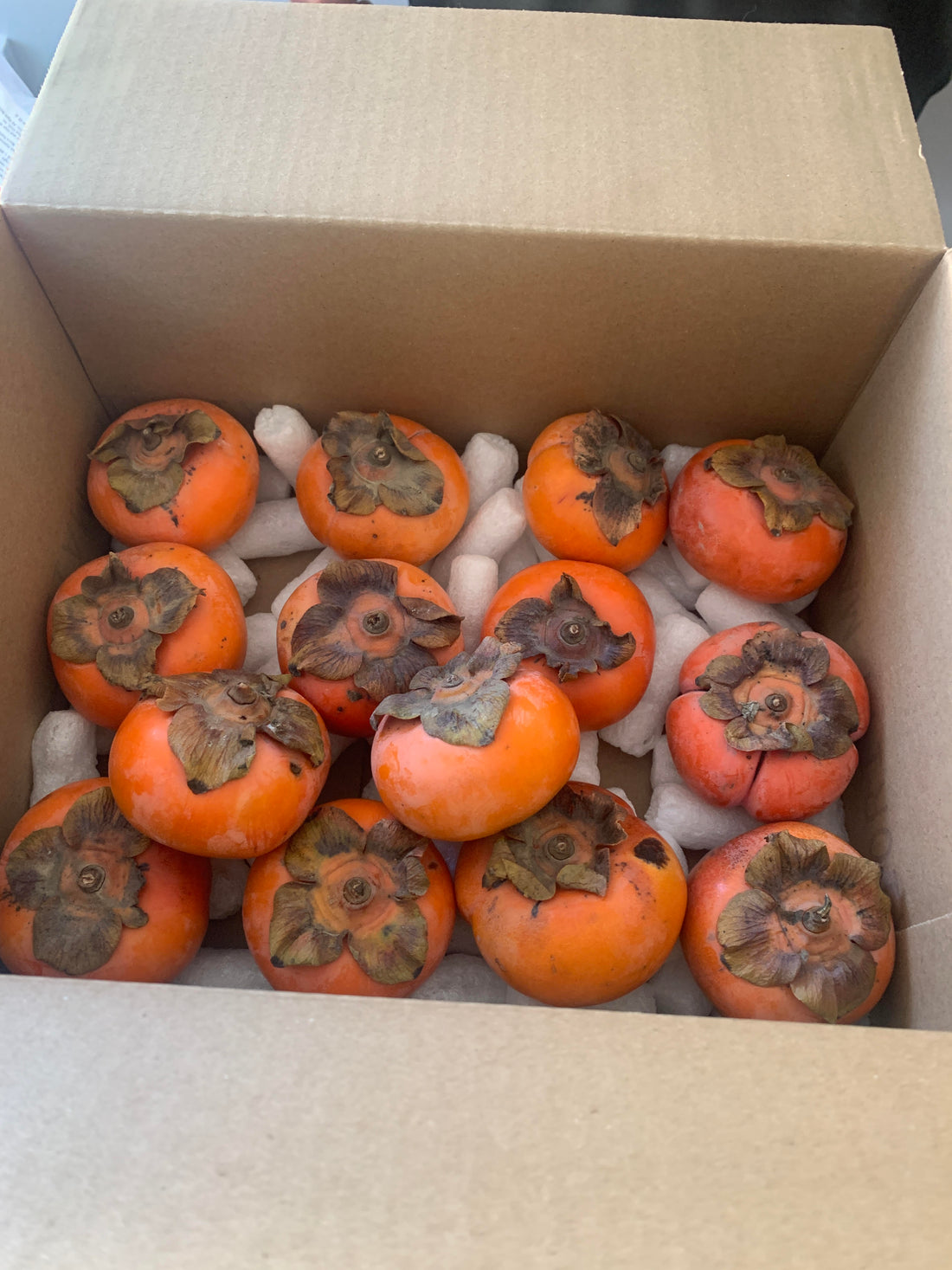 The Wait is OVER! Fresh Persimmon Season Is Here!