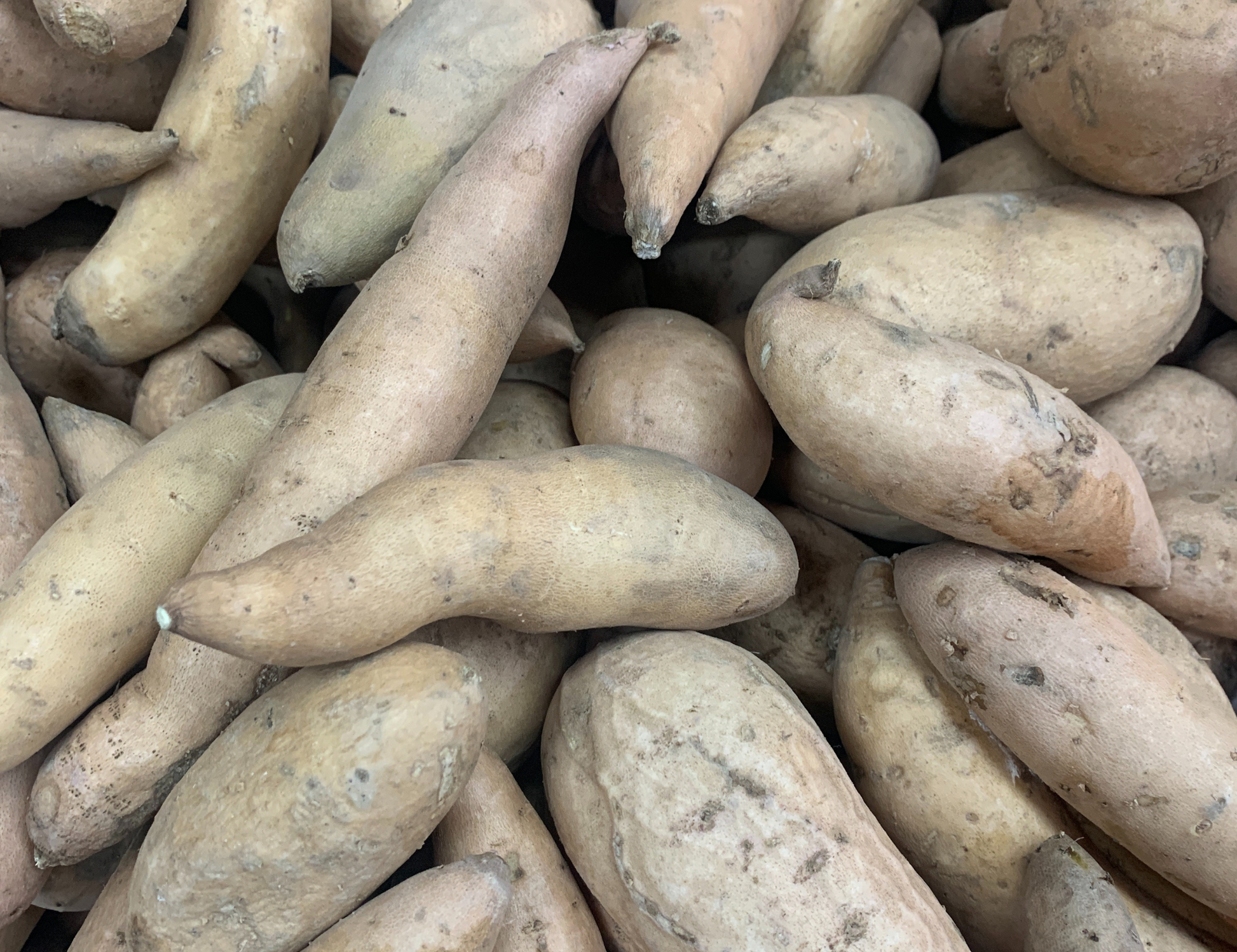 A photo of Okinawan sweet potatoes, also known as Hawaiian sweet potatoes. These sweet potatoes have a vibrant purple flesh and are a staple food in Okinawa, Japan, known for their sweet flavor and rich purple color. They are versatile and can be prepared in various ways, such as baking, boiling, or steaming. The alt text provides a visual description of the Okinawan sweet potatoes, highlighting their unique purple flesh and versatility in cooking.