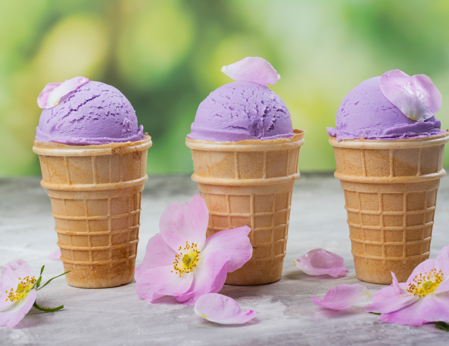 A photo of Okinawan sweet potato ice cream. The ice cream has a vibrant purple color and is made from Okinawan sweet potatoes, half-and-half, sugar, and vanilla extract. The alt text provides a visual description of the Okinawan sweet potato ice cream, highlighting its unique purple color and the use of Okinawan sweet potatoes as a key ingredient.