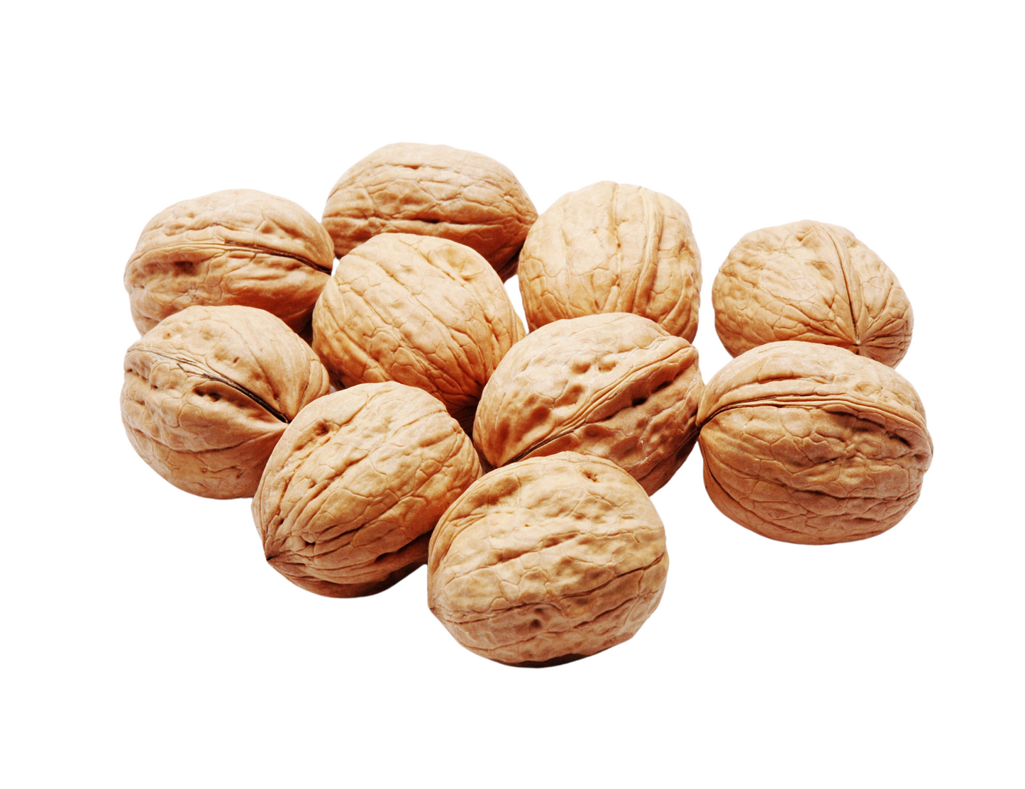  "Premium shelled walnuts, a versatile and nutritious snack, perfect for salads, baked goods, and snacking. Heart-healthy, rich in omega-3 fatty acids, and antioxidants. A pantry staple for any home cook