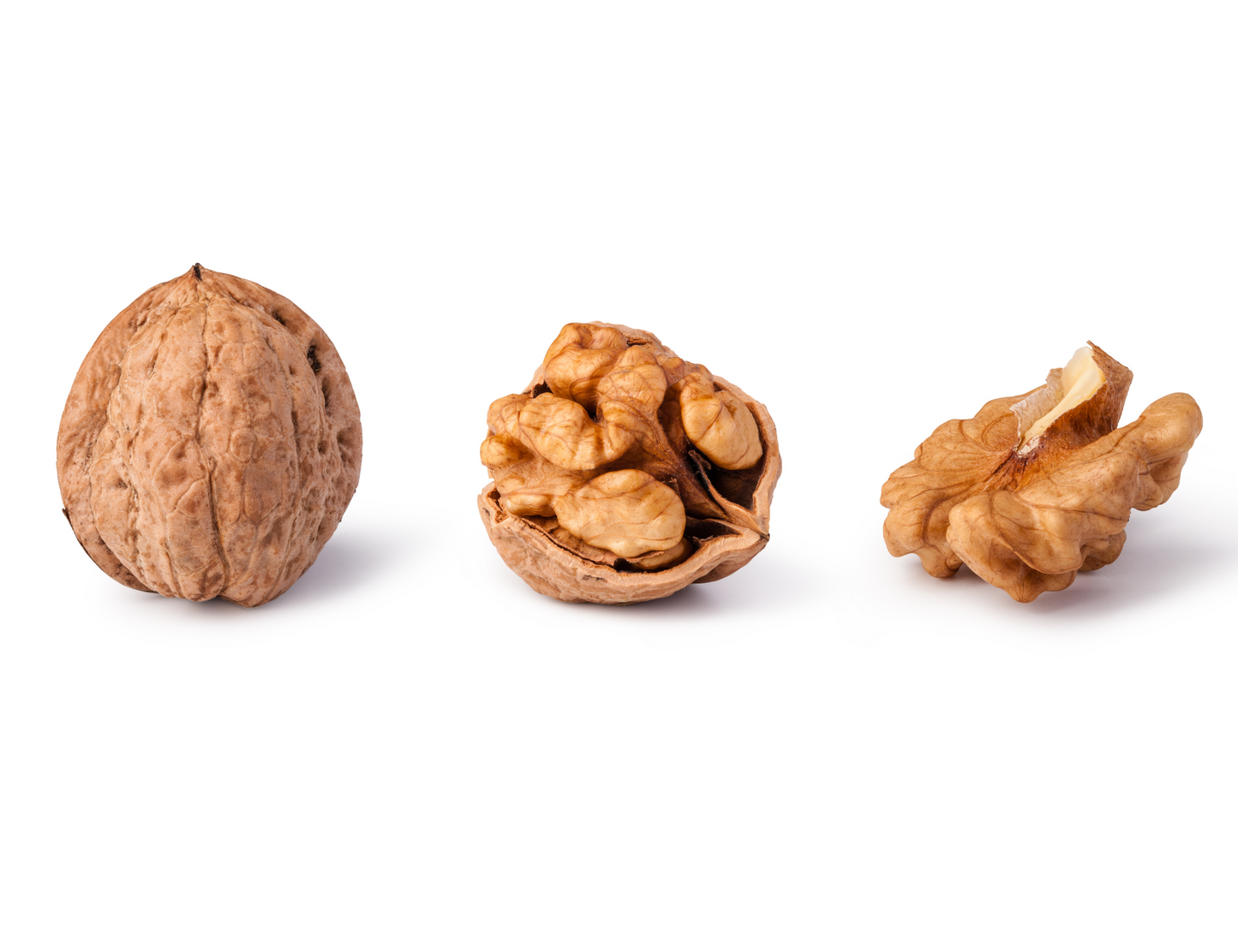  "Premium shelled walnuts, a versatile and nutritious snack, perfect for salads, baked goods, and snacking. Heart-healthy, rich in omega-3 fatty acids, and antioxidants. A pantry staple for any home cook